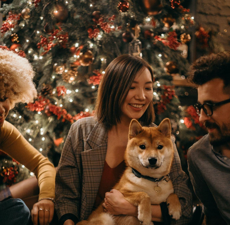 What Size Christmas Tree is Right for an 8-Foot Ceiling?